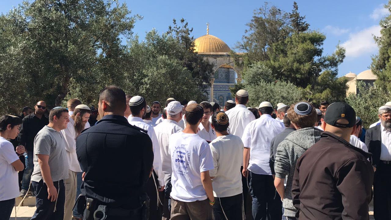 Des dizaines de colons envahissent la Mosquée d’Al-Aqsa