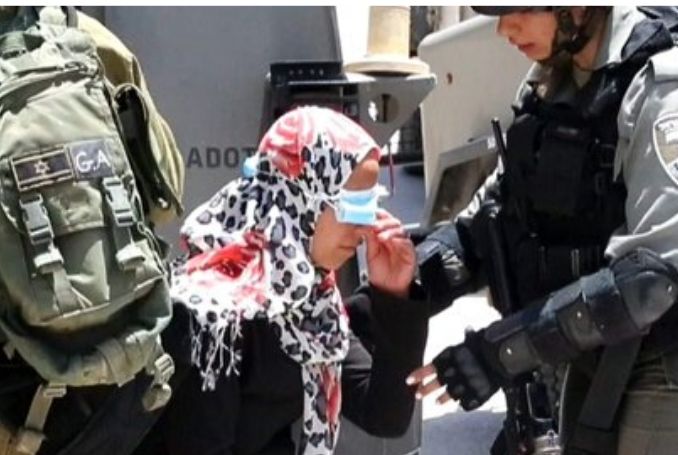 L’armée israélienne d'occupation détient une fillette et la soumet à un interrogatoire sur le terrain à Hébron