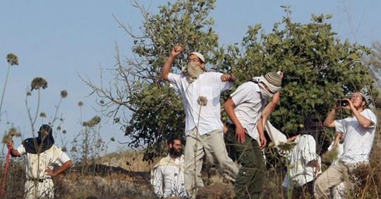 Naplouse : Six civils palestiniens blessés par balles des colons