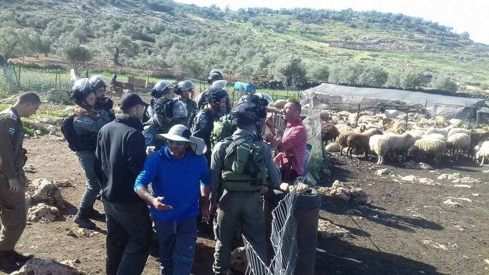L'armée d'occupation force un citoyen de détruire sa grange à bétail à Bethléem 