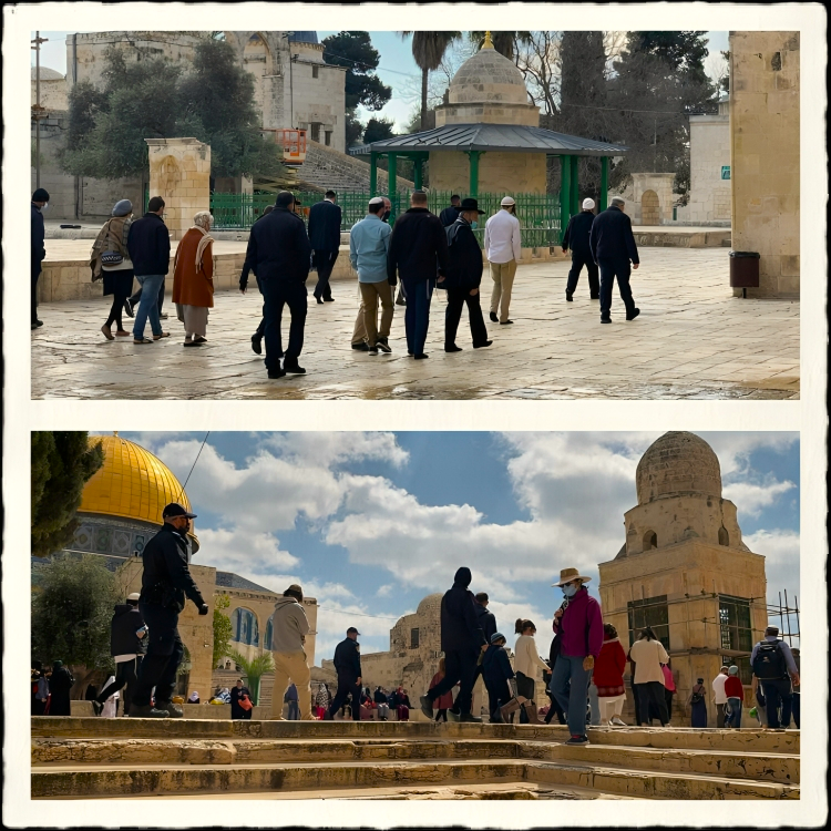 Plus de 400 colons israéliens, sous forte escorte policière, s’introduisent dans le troisième lieu saint musulman 