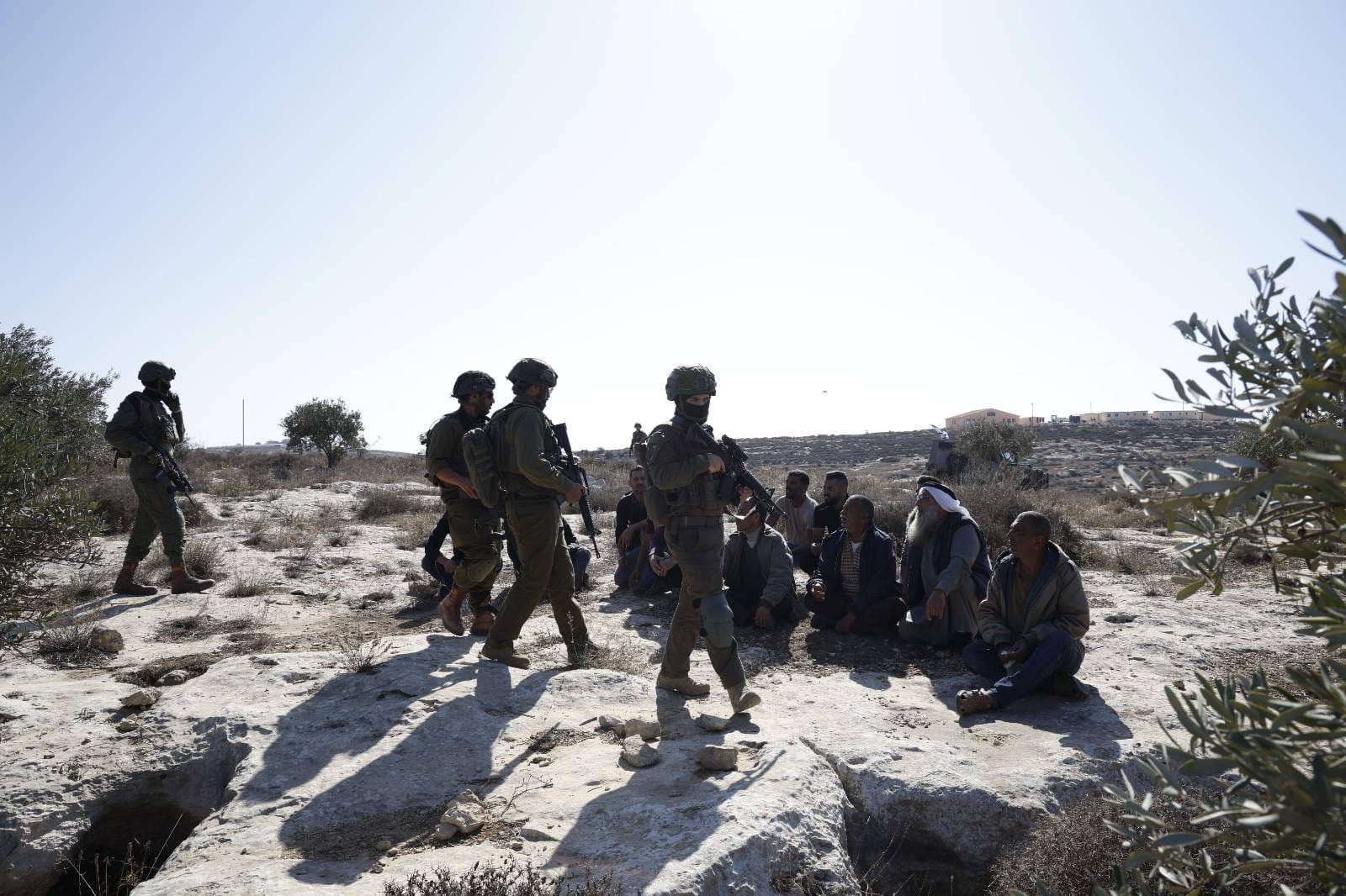 L'occupation attaque des Palestiniens et les détienne  pendant qu'ils récoltent des olives au sud d'Hébron