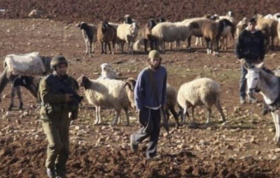 Les colons agressent les bergers près de Bethleem