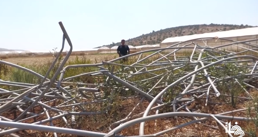 Jénine : les forces de l’occupation démolissent trois serres agricoles  