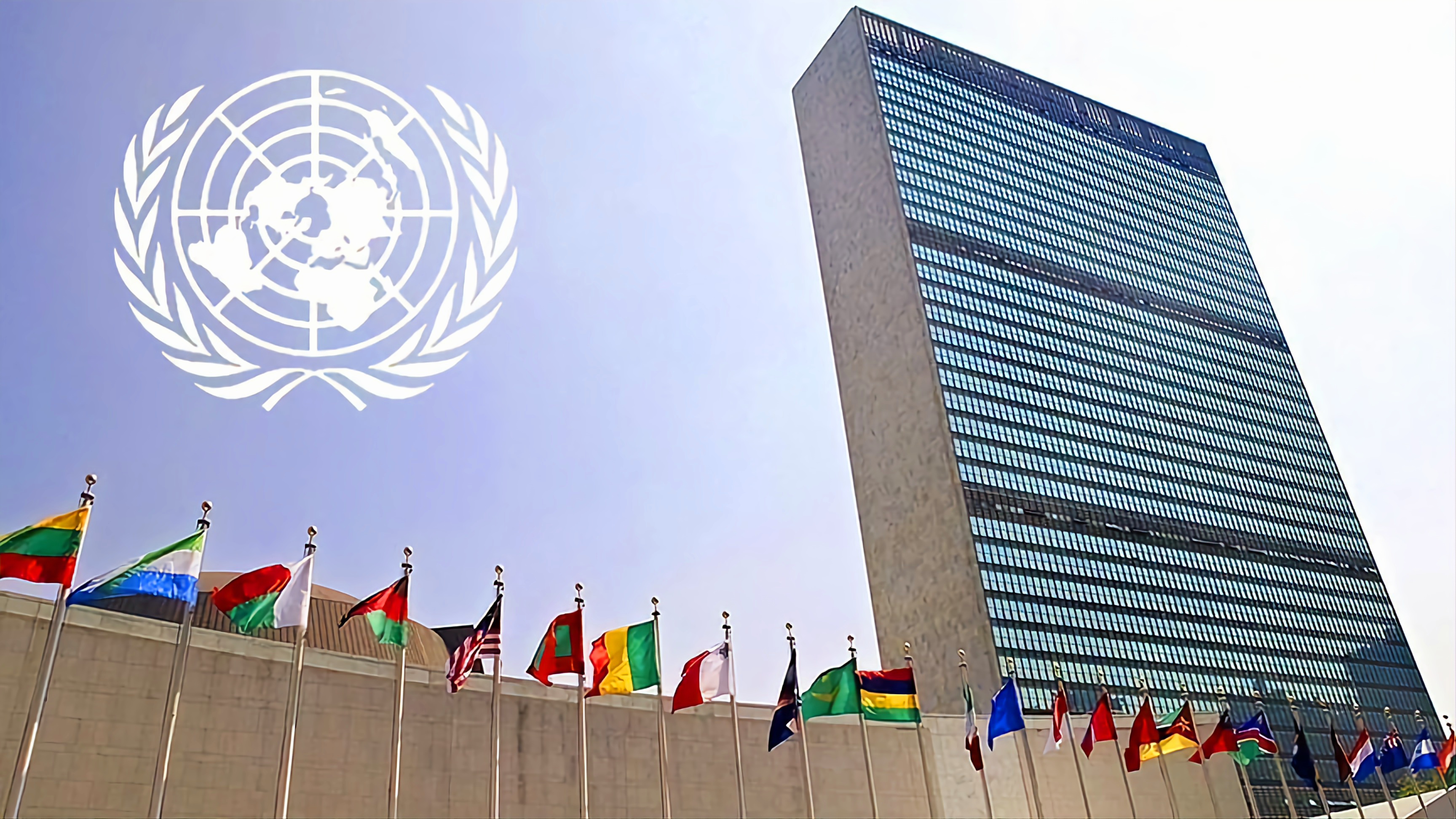 Des experts de l'ONU exhortent les États membres de l'ONU à faire pression pour un cessez-le-feu à Gaza