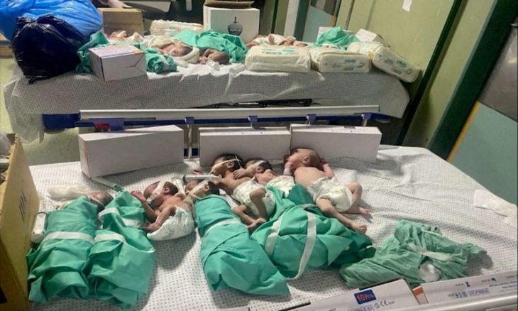 31 bébés prématurés évacués du complexe d'Al-Shifa