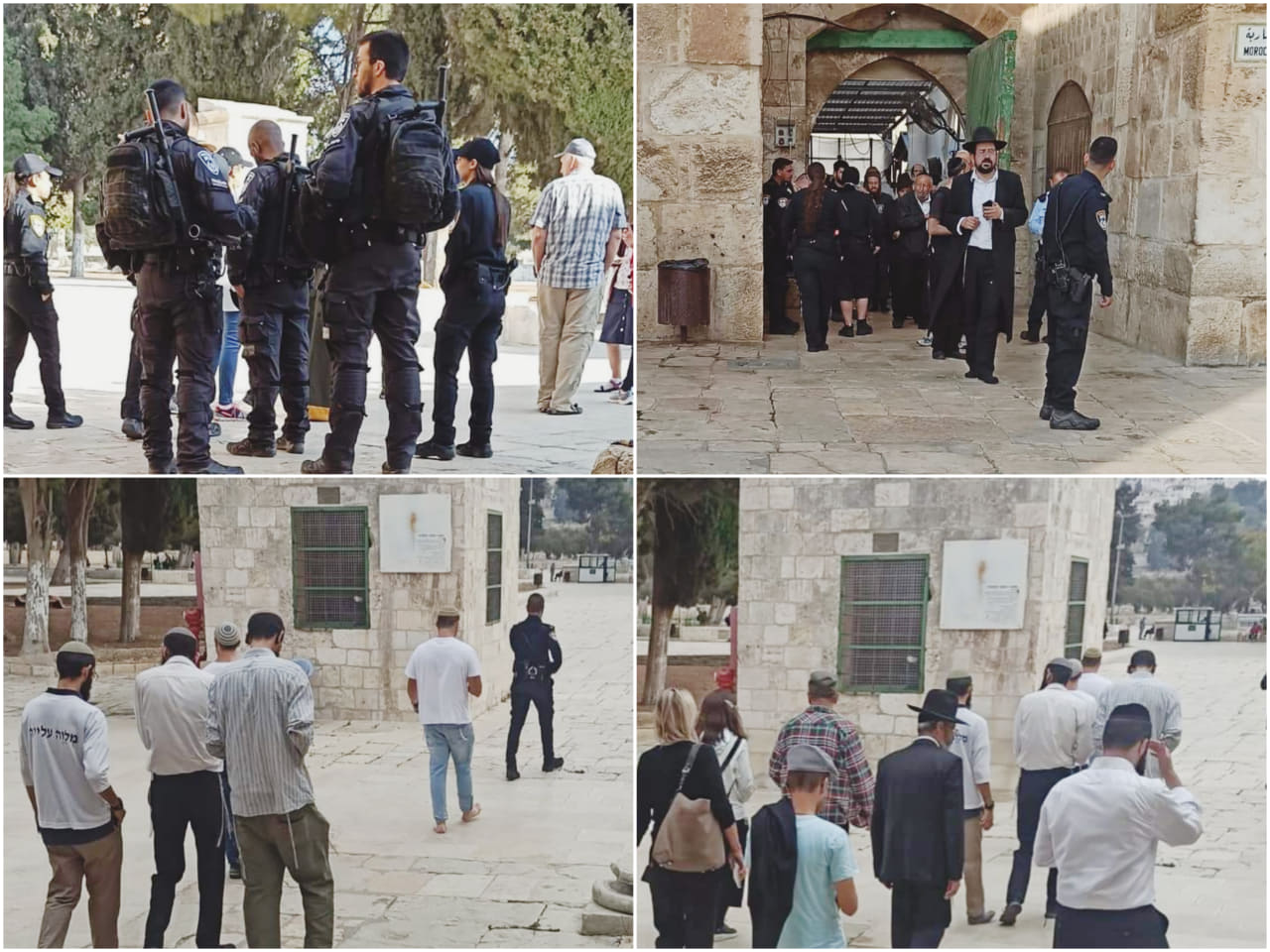 Des colons s’introduisent dans la mosquée Al-Aqsa, des anciens sites islamiques de Salfit et le site archéologique de Sebastiya