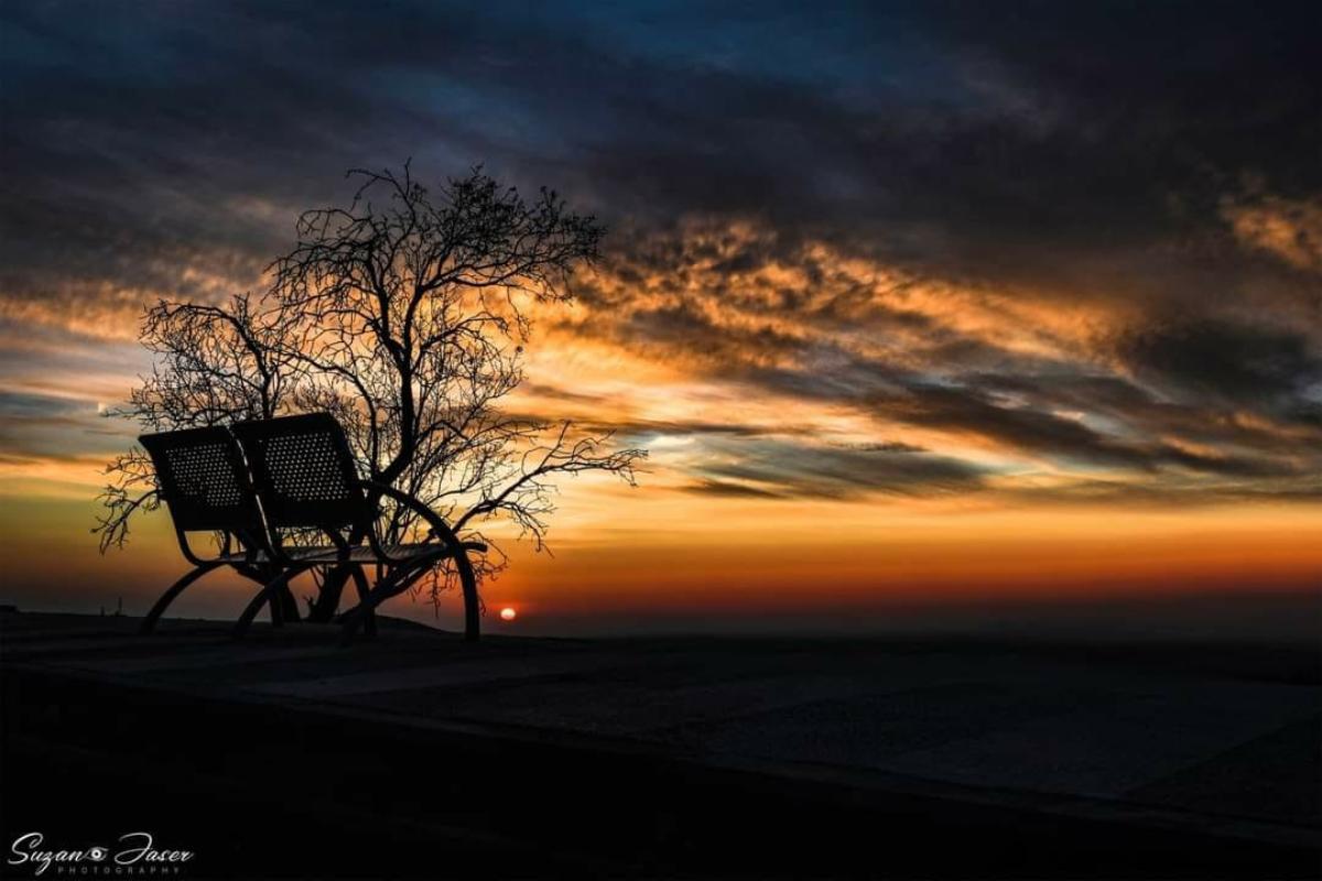 Une professeure à l'Université ouverte d'Al-Quds reçoit le prix du meilleur photographe arabe du monde