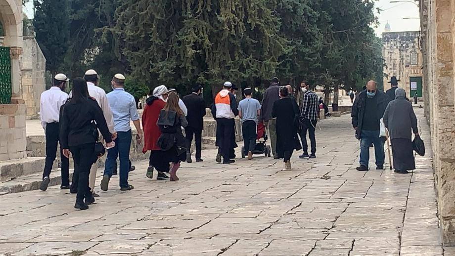 108 colons juifs prennent d’assaut la mosquée Al-Aqsa