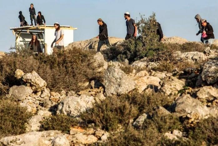 Des colons israéliens abattent des vignes et agressent un Palestinien au sud de Bethléem