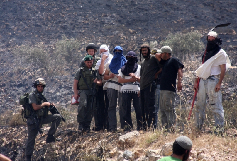 Ramallah : Des colons détruisent des oliviers et s'emparent d'un réservoir d'eau 