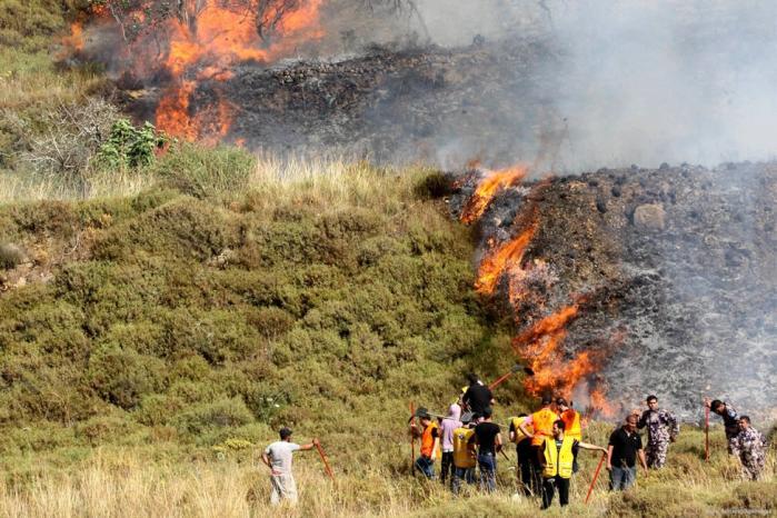 Des colons mettent le feu à des terres palestiniennes et attaquent des maisons à Naplouse