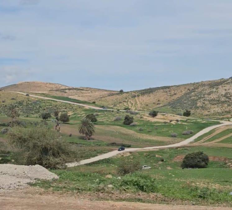 Des colons israéliens tracent une nouvelle route coloniale dans le nord de la vallée du Jourdain