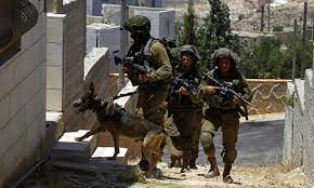 Les forces d'occupation attaquent plusieurs maisons et le conseil du village de Susya à Masafer Yatta.