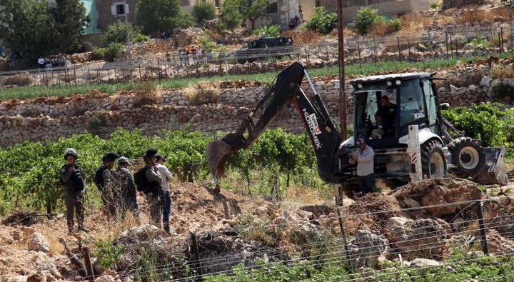 L'occupation nivelle des terres et déracine des arbres à l'ouest d'Hébron