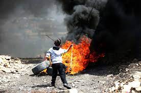 Les violations de l'occupation se poursuivent : blessés, arrestations, accaparement de terres et destruction d'arbres