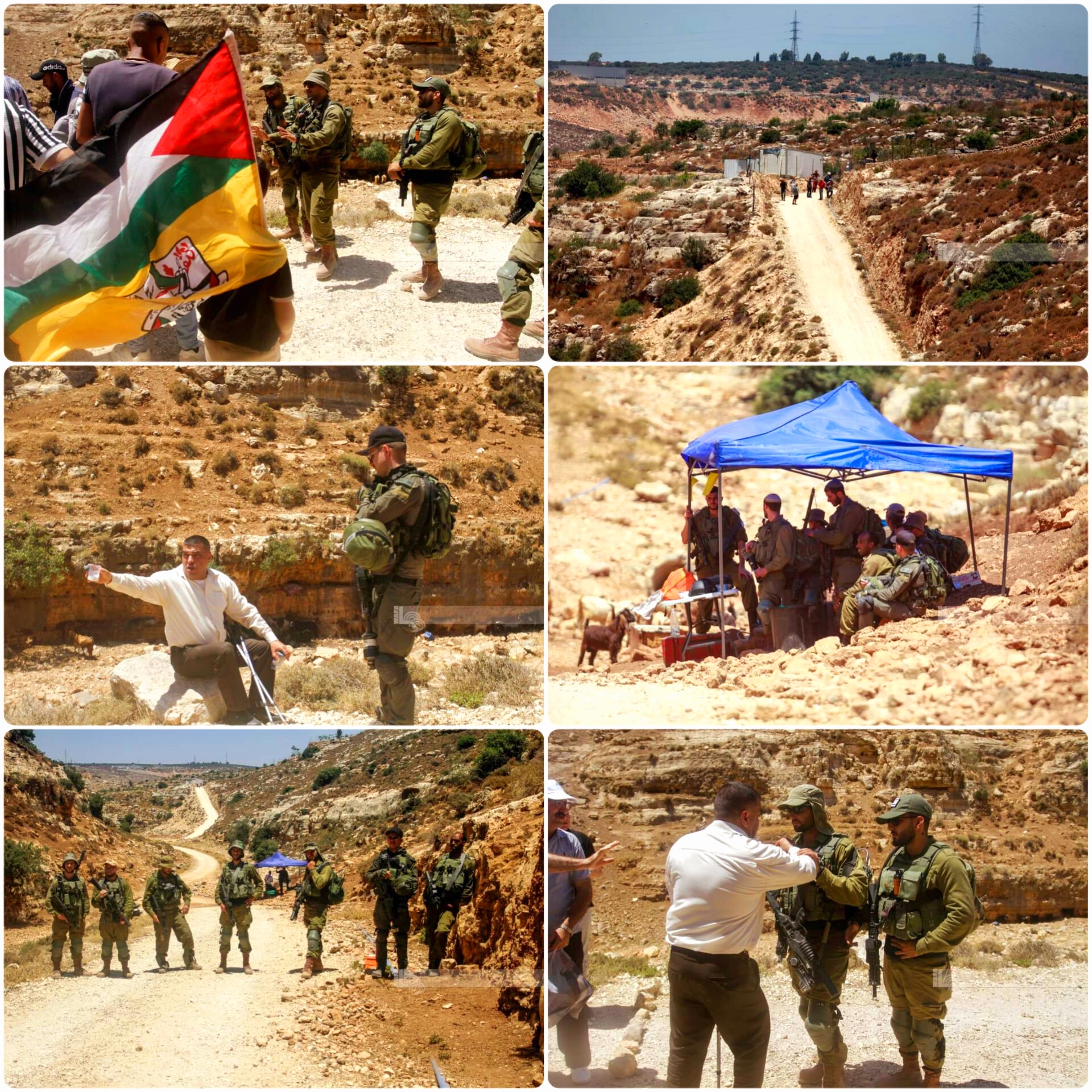 Des Palestiniens empêchés par les forces d'occupation d'atteindre leurs terres à Salfit