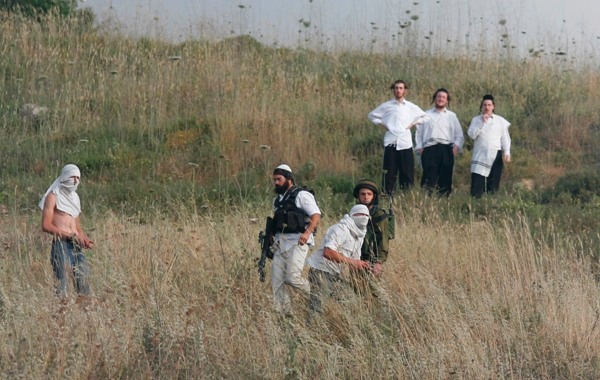 Des colons israéliens attaquent un berger Palestinien et volent ses moutons