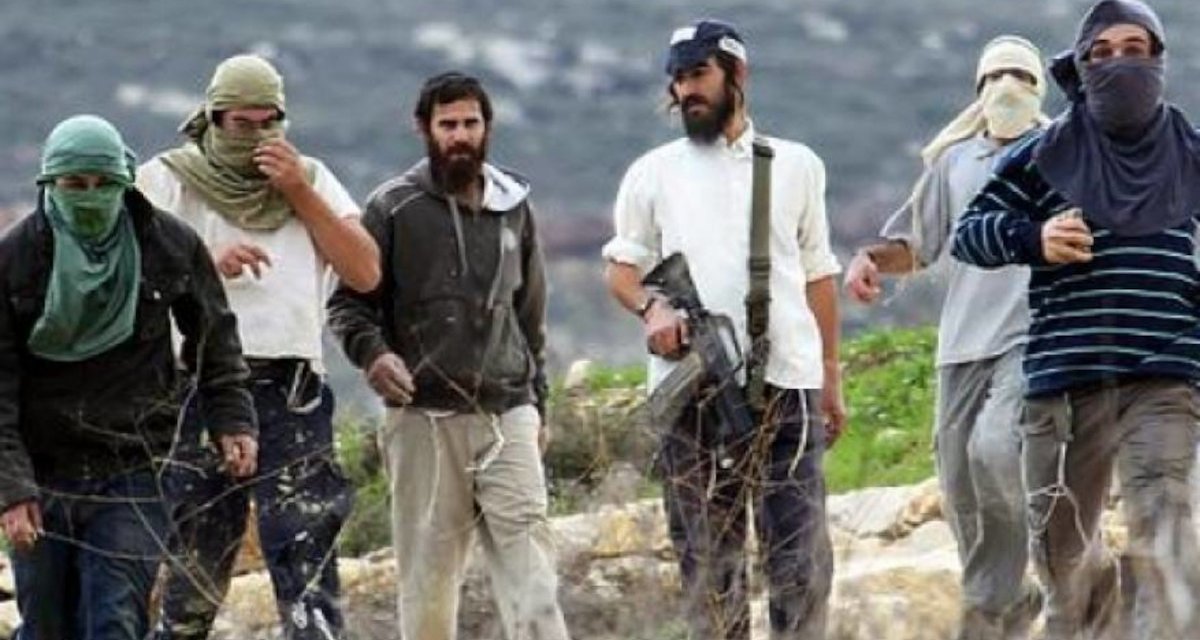 Les colons installent un portail à Silwan  