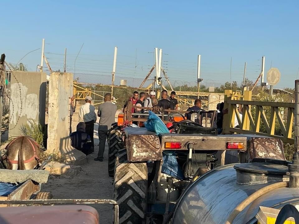 Les agriculteurs palestiniens interdits par l'armée d'occupation d'atteindre leurs terres à Tulkarem