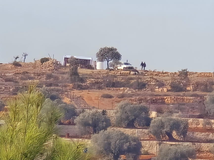 Agressions perpétrées par des colons israéliens dans divers pans de la Cisjordanie