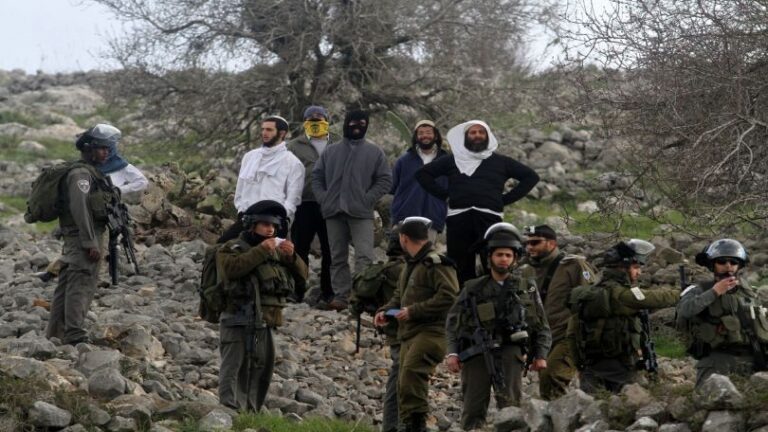 Naplouse : les colons agressent les cueilleurs d’olives palestiniens 