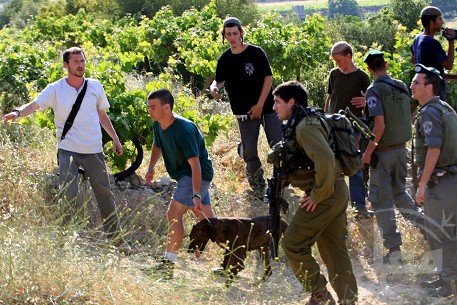 La poursuite de la souffrance du peuple Palestinien à cause des violations des forces israéliennes et des colons