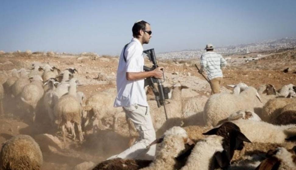 Un colon juif agresse un Palestinien dans les vallées nord