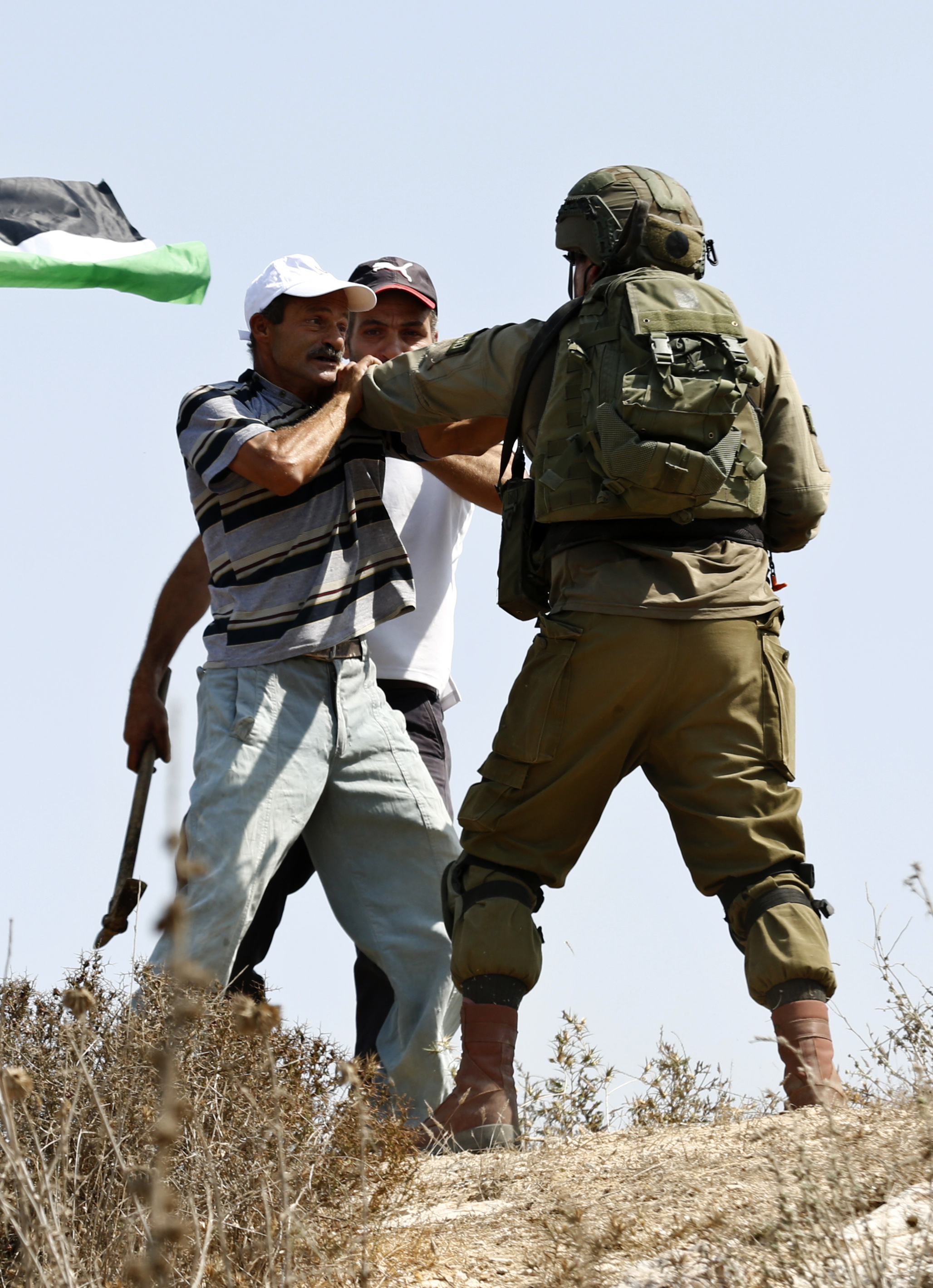Les soldats de l’occupation agressent sauvagement un vieillard Palestinien lors de sa récolte des olives à Hébron