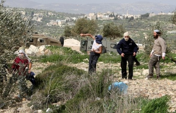 Des colons israéliens incendient des terres et attaquent des maisons à Naplouse