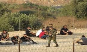 Les forces israélienns d'occupation arrêtent plusieurs travailleurs palestiniens au nord de Tulkarem