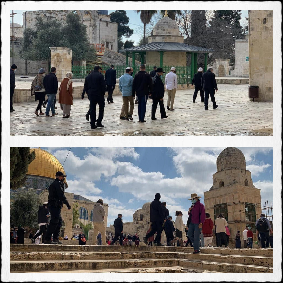 En deuxième jour de la fête juive de Pourim, un nombre considérable de colons s’introduisent dans la mosquée d’Al-Aqsa