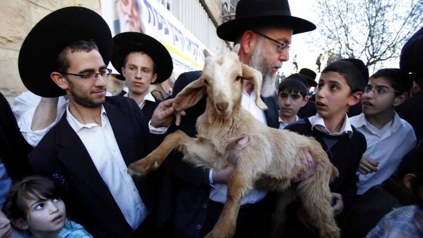 Des groupes de fanatiques juifs appellent à sacrifier des animaux dans les cours de la mosquée al-Aqsa pendant la Pâque juive