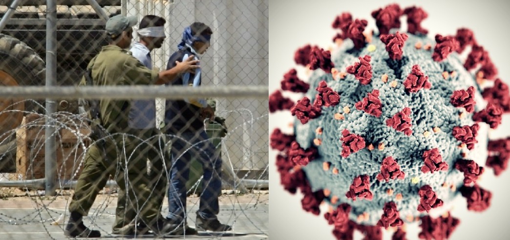 Trois nouvelles infections de COVID-19 enregistrées parmi les détenus palestiniens dans les geôles israéliennes
