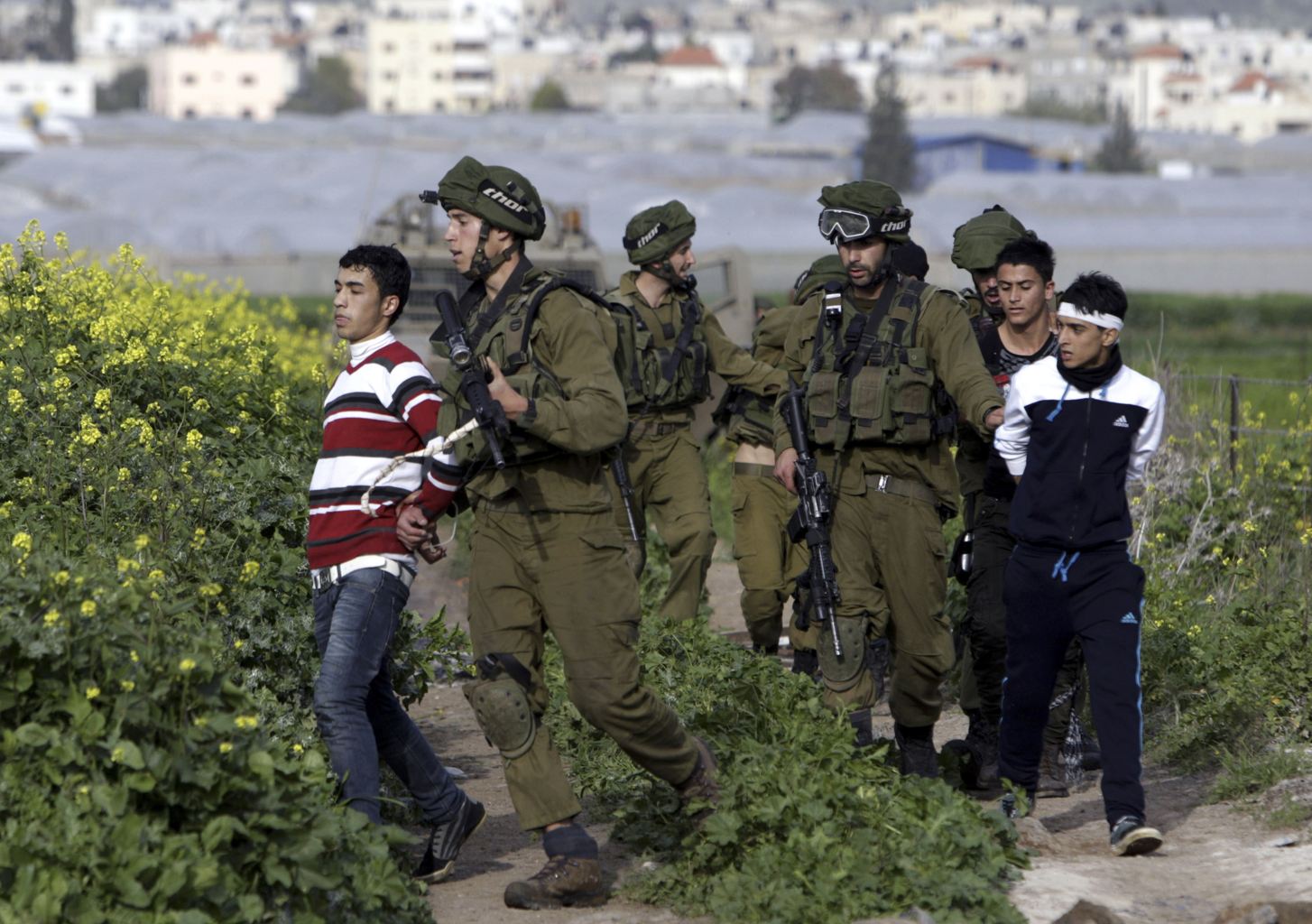 Les forces d'occupation procèdent à des détentions à grande échelle en Cisjordanie
