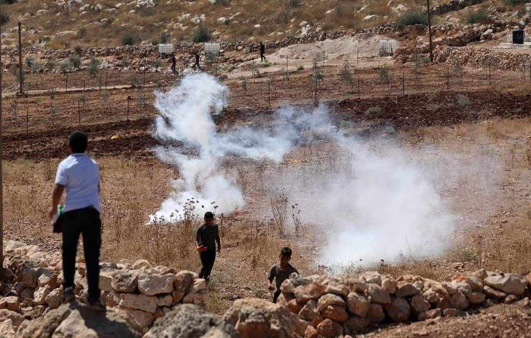 Des manifestants palestiniens attaqués par l'armée d'occupation à Naplouse 
