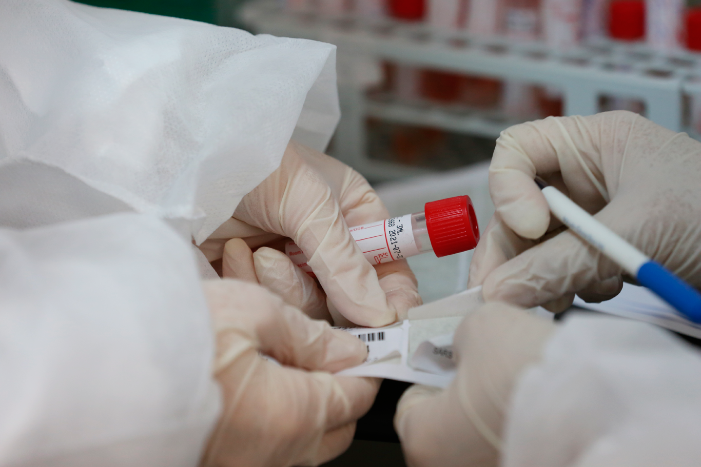 17 décès et 2333 nouveaux cas de Coronavirus en Palestine