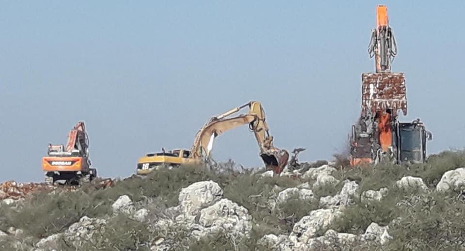 Sud de la Cisjordanie : Les bulldozers d’occupation rasent des terres et détruisent des arbres 