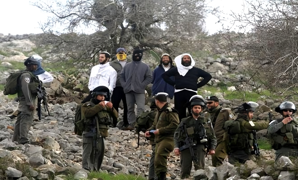 Violation israéliennes commises contre les cultivateurs d’olives palestiniens à Naplouse