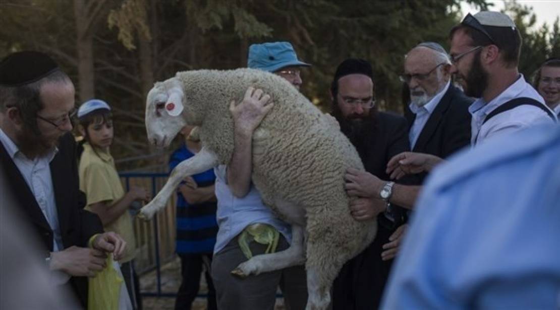 Profitant de sa fermeture prolongée : des groupes religieux lancent une campagne de plus en plus intense pour imposer le sacrifice de la Pâque à l’intérieur de la mosquée Al-Aqsa.