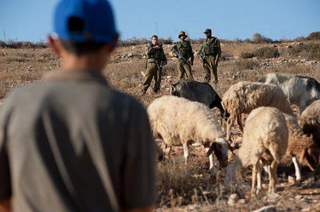 Les colons harcèlent les civils palestiniens dans la Vallée du Jourdain  