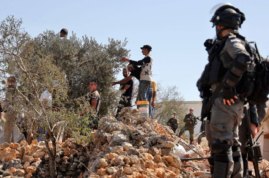 Naplouse : l’occupation empêche les agriculteurs de cueillir les olives  