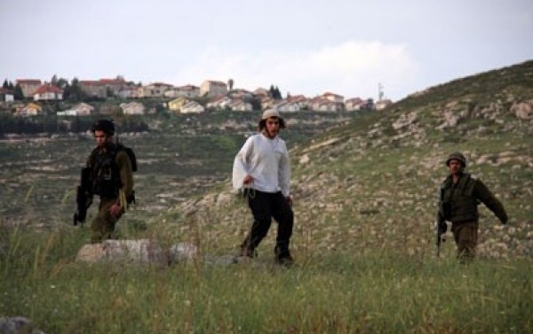  Jéricho : les colons fouillent quatre habitations des palestiniens