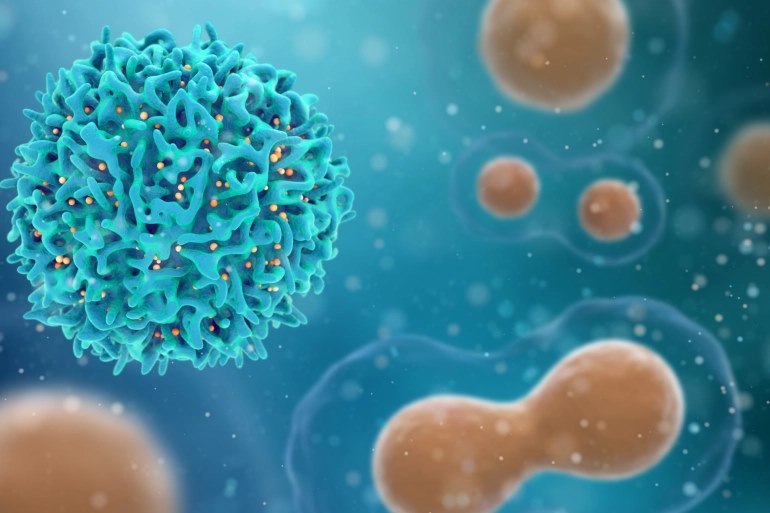 La Palestine enregistre six décès et 540 nouvelles infections de COVID-19