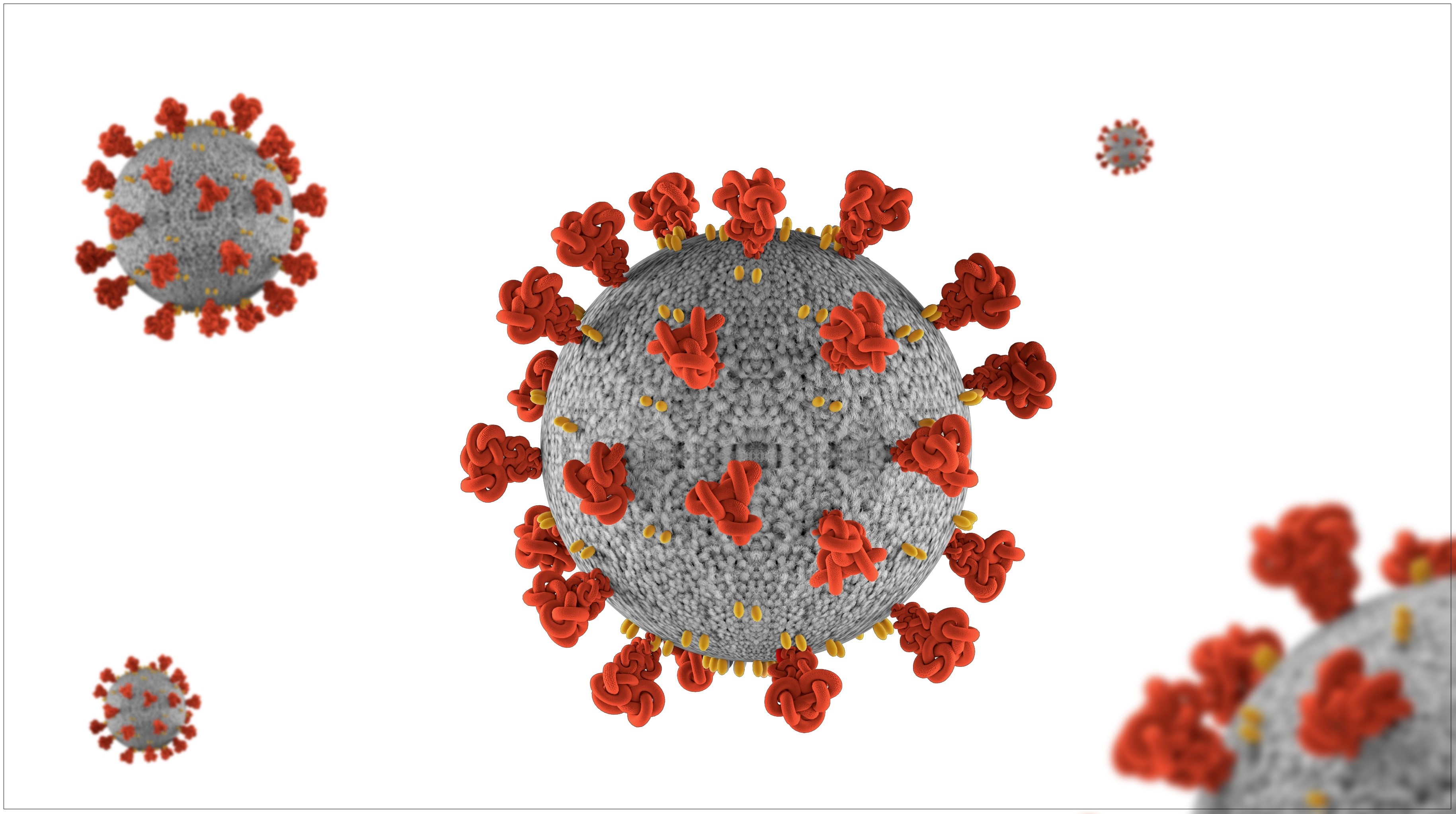 Quatre décès de coronavirus et 417 nouveaux cas en