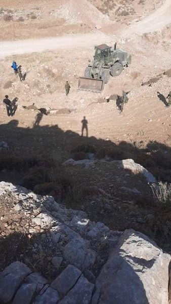 Les colons ravagent les terres agricoles à Masafer Yatta