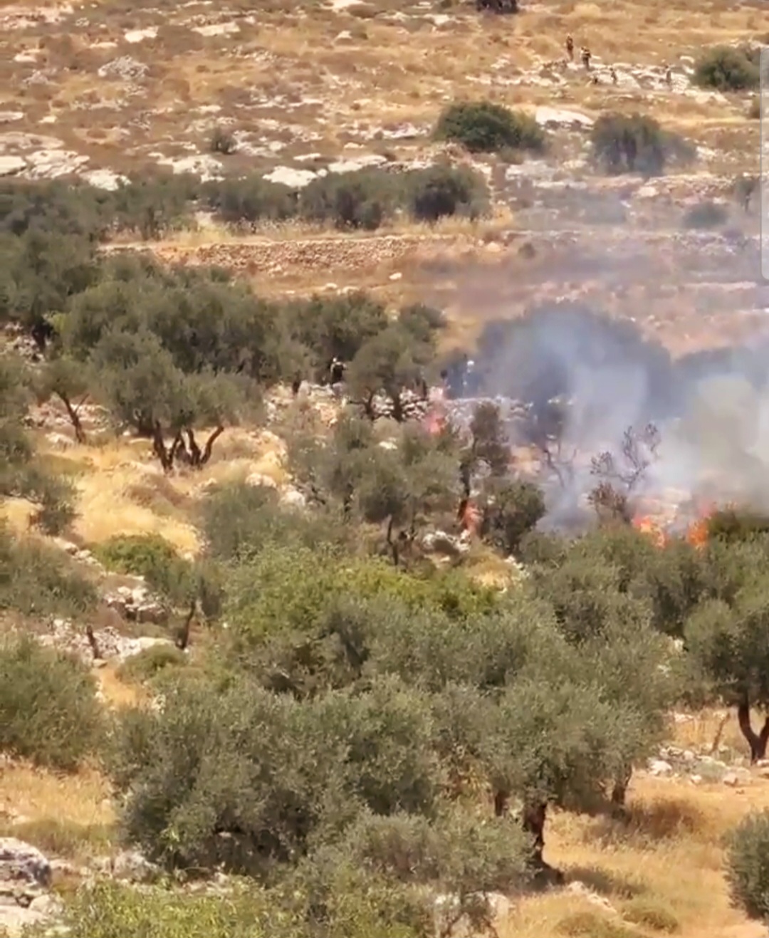 Des colons israéliens brûlent un parc à ferraille de véhicules et des terres agricoles à l'est de Ramallah