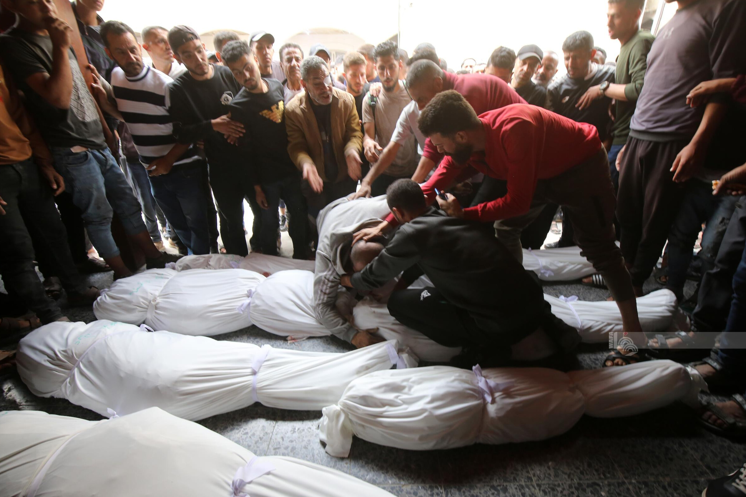 Depuis le 7 octobre 2023, l’agression israélienne contre Gaza a coûté la vie à 50 983 personnes et fait 116 274 blessés