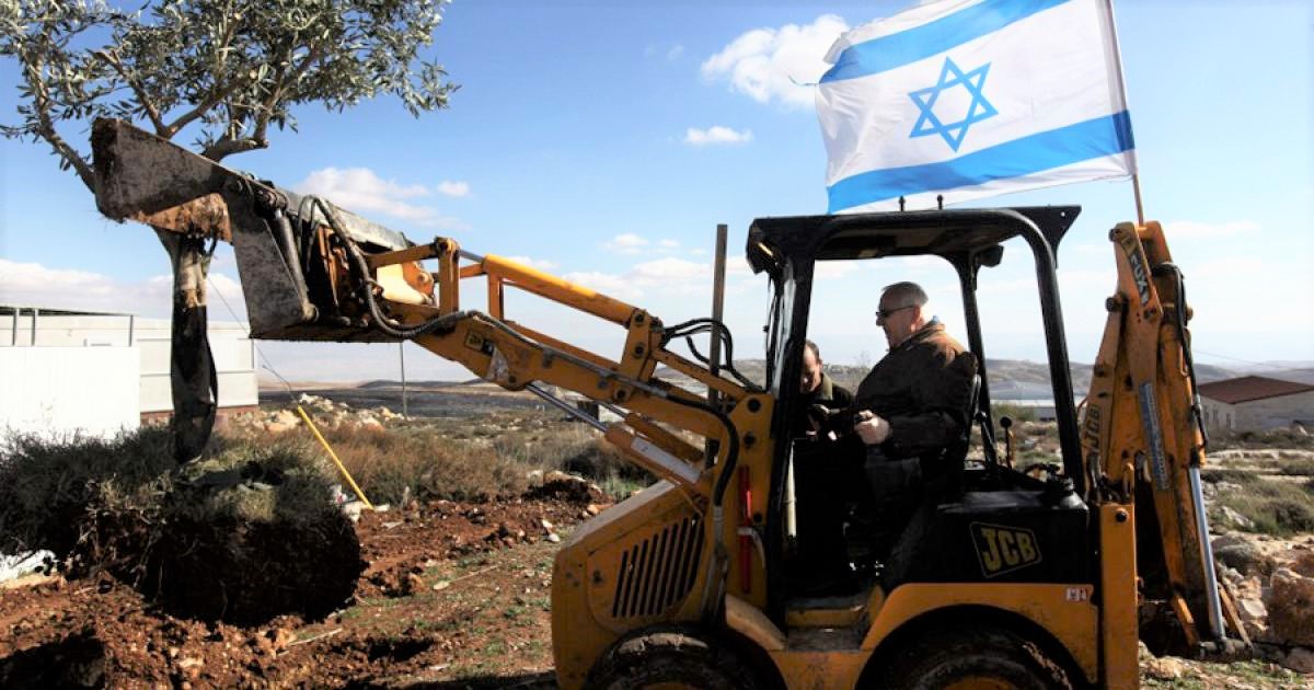 Les bulldozers des colons rasent des terres palestiniennes au nord de la Cisjordanie 