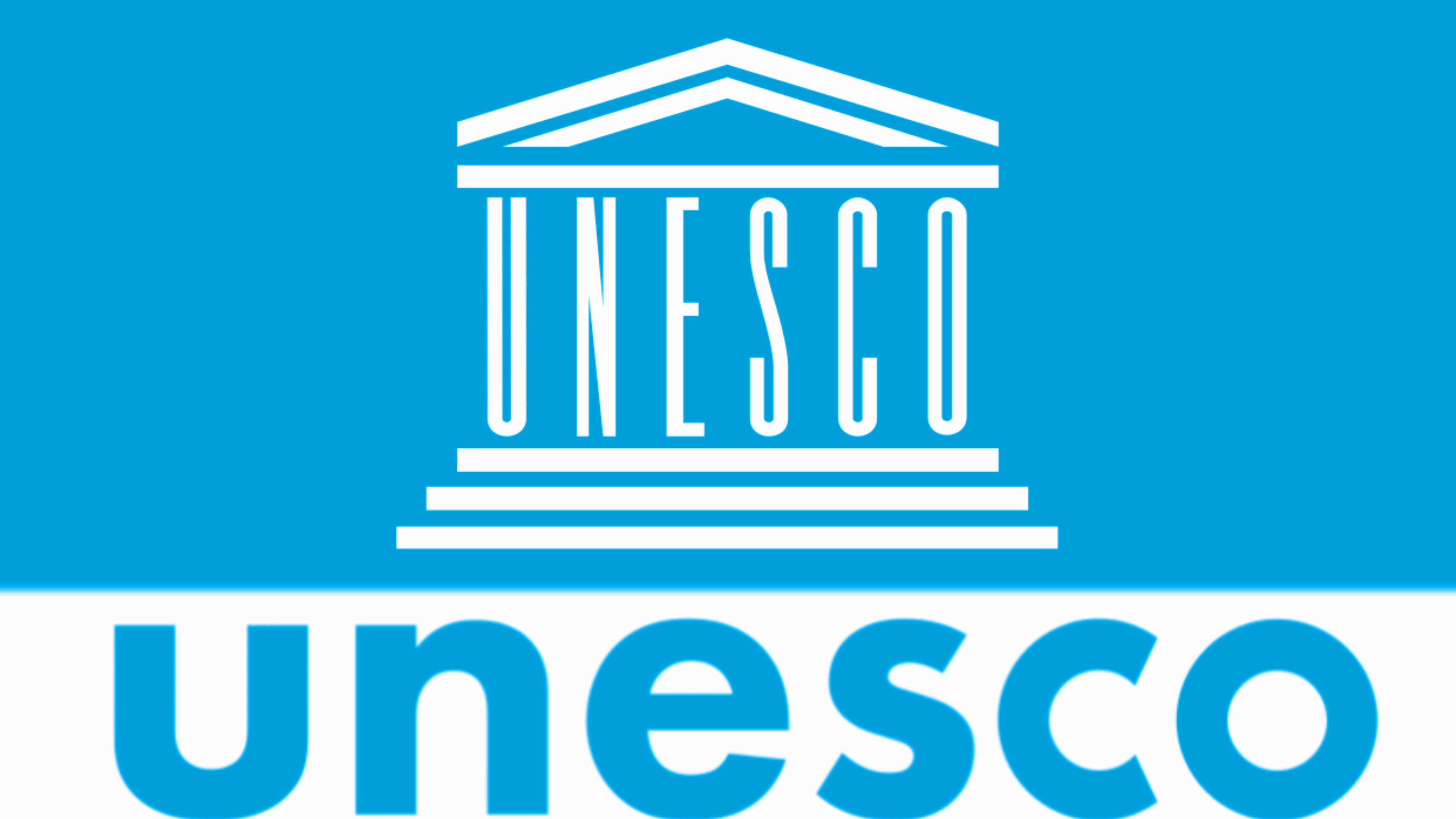 L'UNESCO adopte une résolution sur les répercussions de la situation actuelle dans la bande de Gaza, la diplomatie salue 